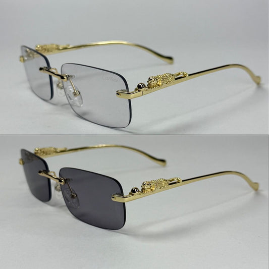 Gafas de sol CTR TRANSITIONS